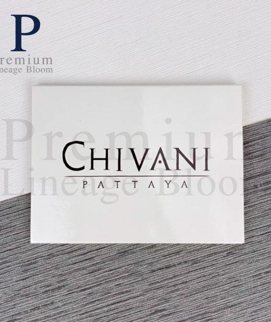 กระดาษก้อน Chivani Pattaya